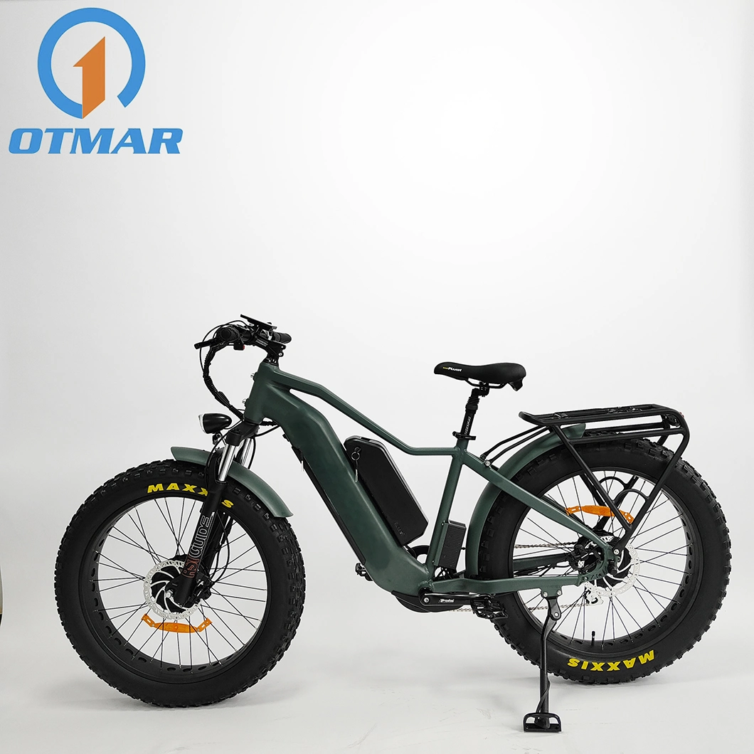 OEM China Factory All Wheel Drive Dual Battery 500W/750W/1000W Electric Fat Bike Mountain Beach E Bike 2 Hidden Battery E Bike