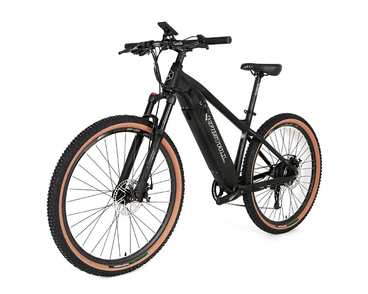 Hidden Battery Mountain Electric Bicycle 350W 500W Ebike