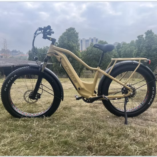 MTB ファットタイヤ 26*4.0 350W*2 ダブルハブモーター電動自転車